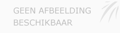 Afbeelding › Volledig Uit het Hart